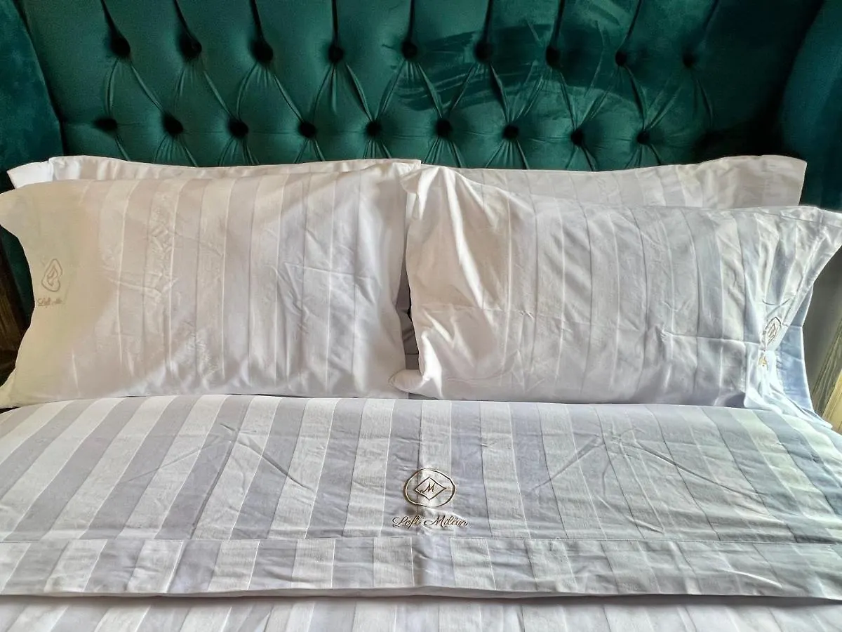 Loft Milan Valquirico Apartment Santeagueda